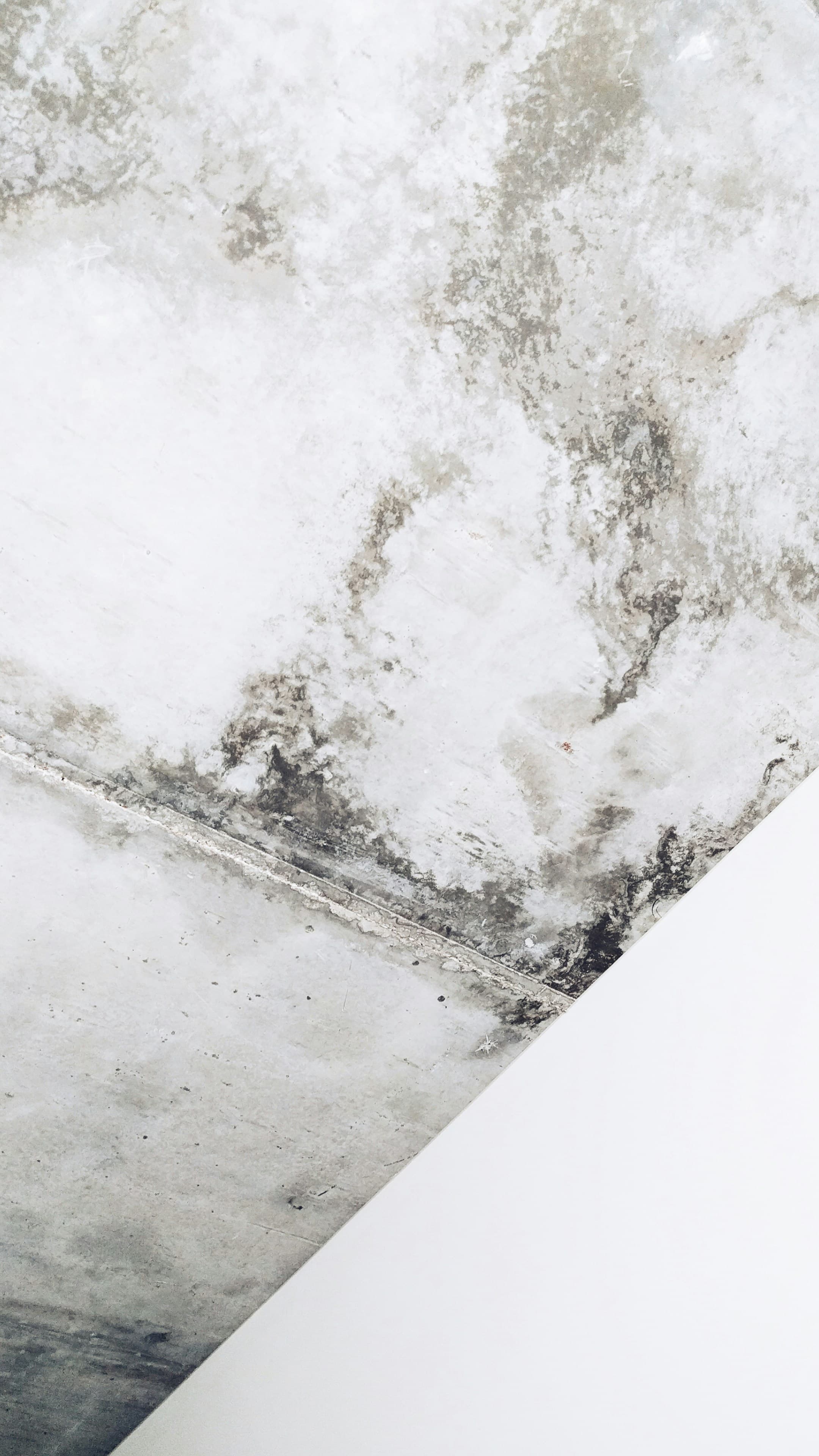 Property moisture inspection visualization